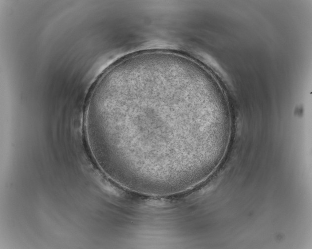 X0000090441220200707272147