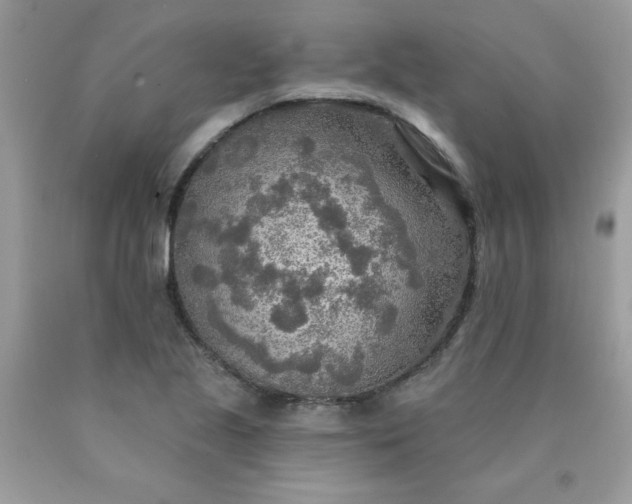 X0000090441221200707272147