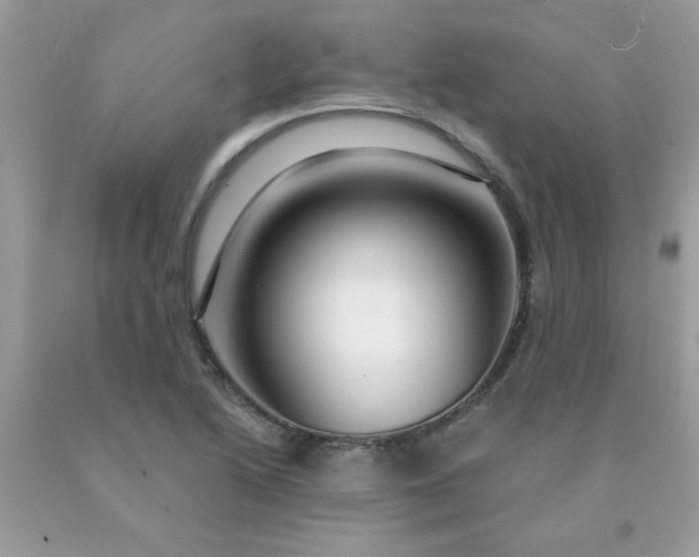 X0000090441222200707272147