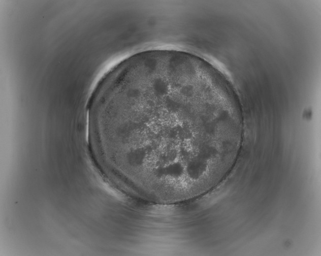 X0000090441223200707272147