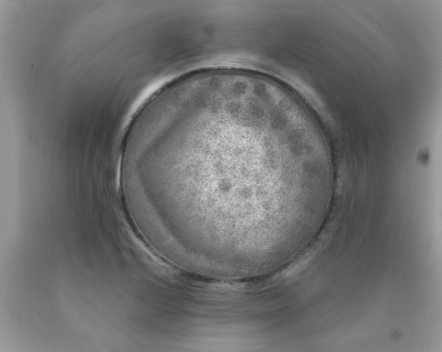 X0000090441224200707272147