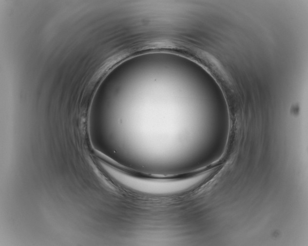 X0000090441225200707272147