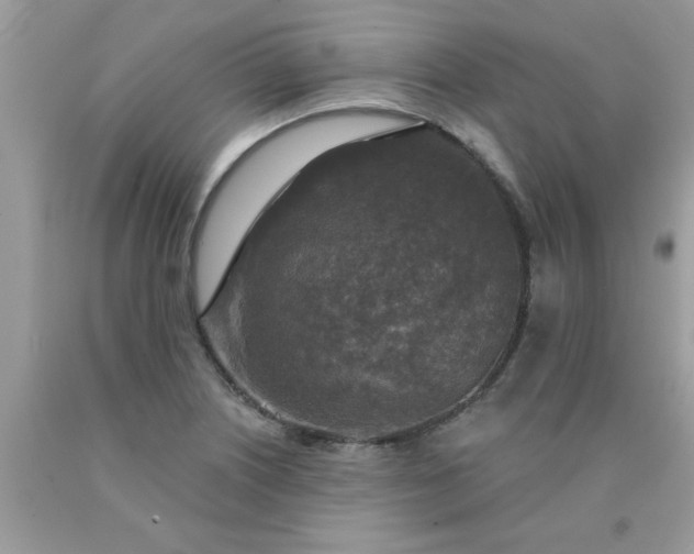 X0000090441226200707272147