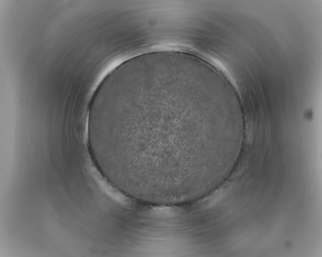 X0000090441227200707272147