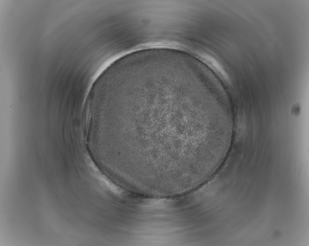 X0000090441228200707272147