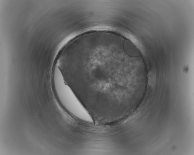 X0000090441229200707272147