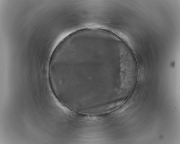 X0000090441231200707272147