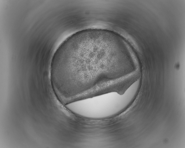 X0000090441232200707272147