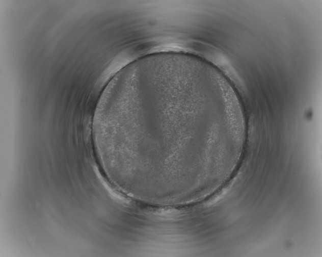 X0000090441233200707272147