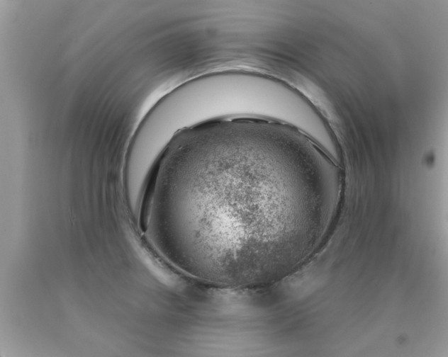 X0000090441234200707272147