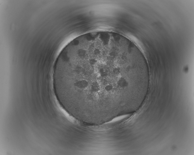 X0000090441235200707272147