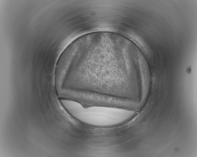 X0000090441236200707272147