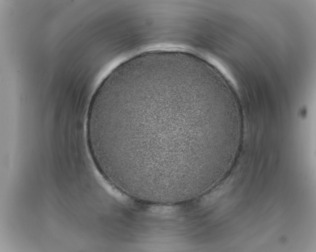 X0000090441237200707272147