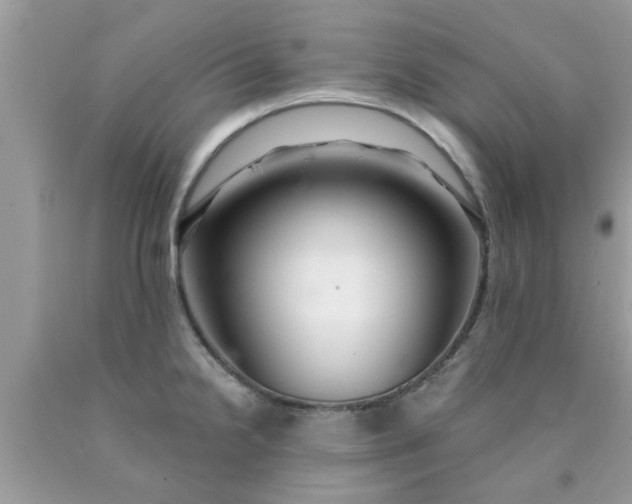 X0000090441238200707272147