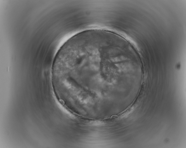 X0000090441239200707272147