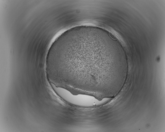 X0000090441240200707272147