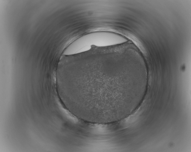 X0000090441241200707272147