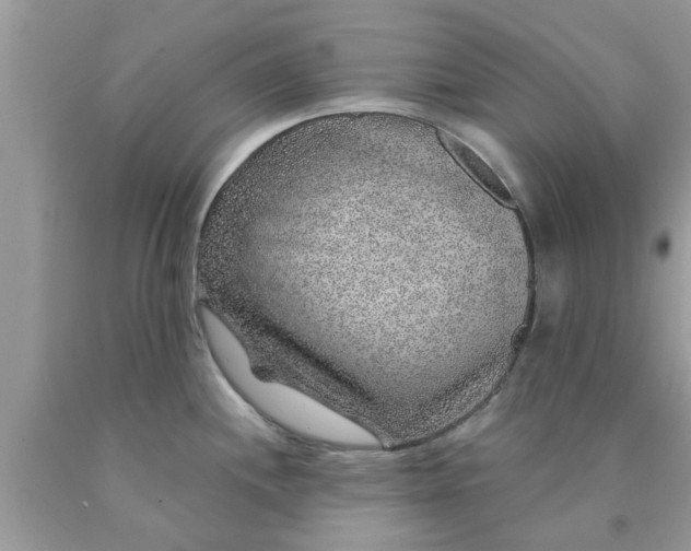 X0000090441244200707272147