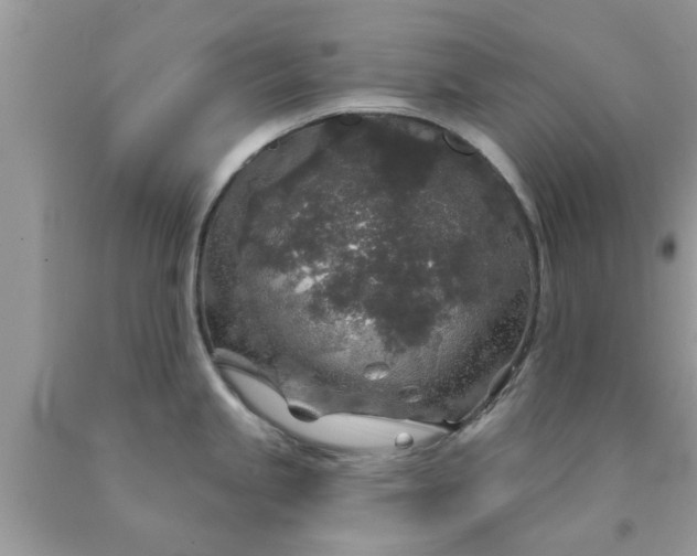 X0000090441245200707272147