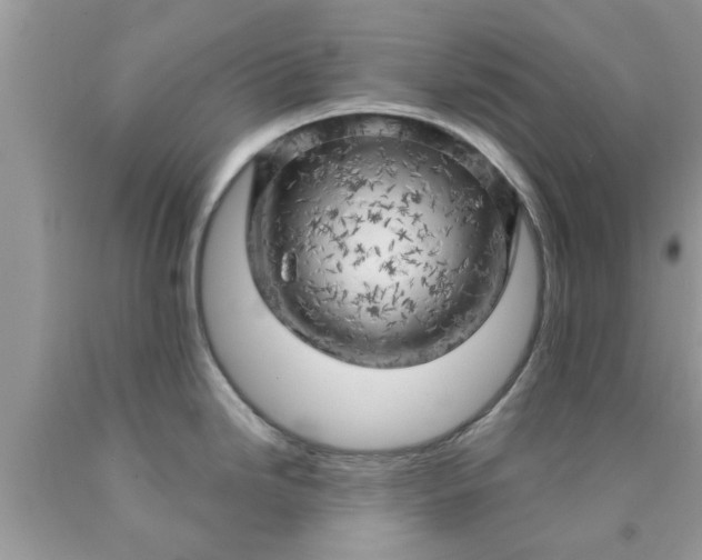 X0000090441246200707272147