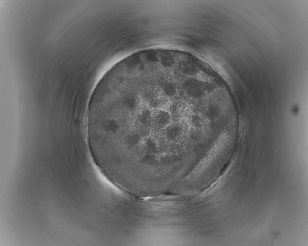 X0000090441247200707272147