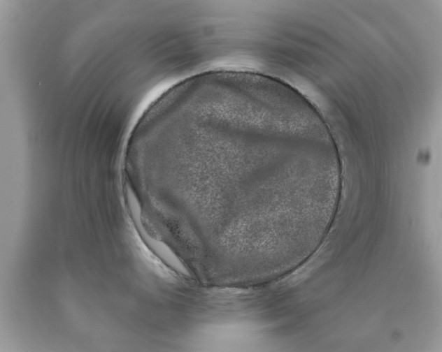 X0000090441248200707272147