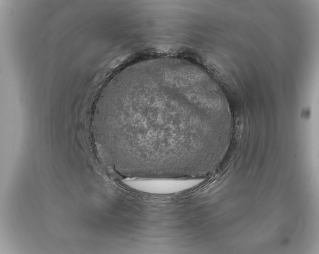 X0000090441249200707272147