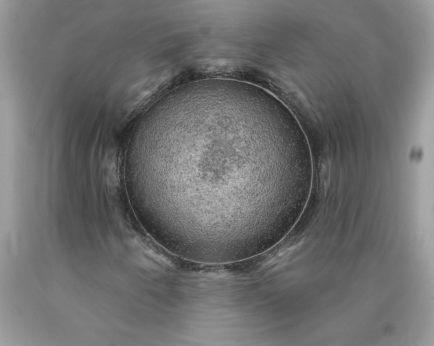 X0000090441250200707272147