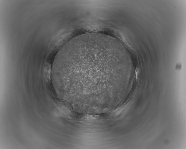 X0000090441251200707272147