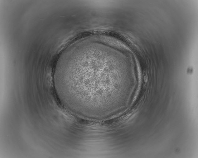 X0000090441252200707272147