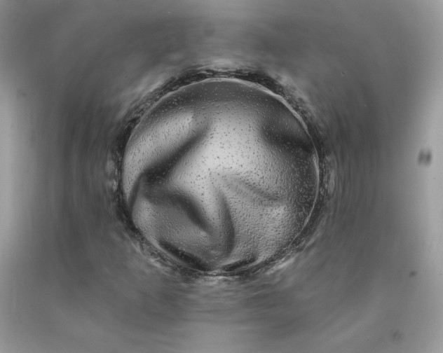 X0000090441253200707272147