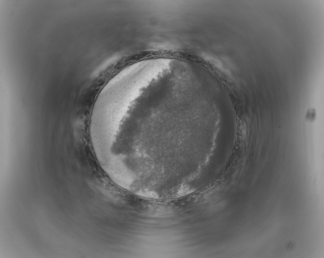 X0000090441254200707272147