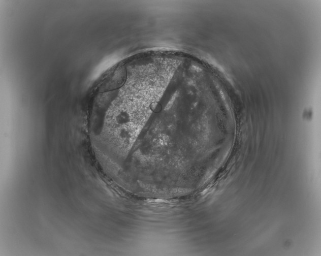 X0000090441255200707272147