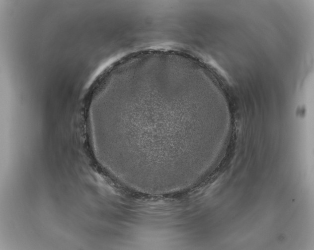 X0000090441256200707272147