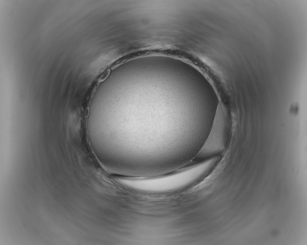 X0000090441257200707272147