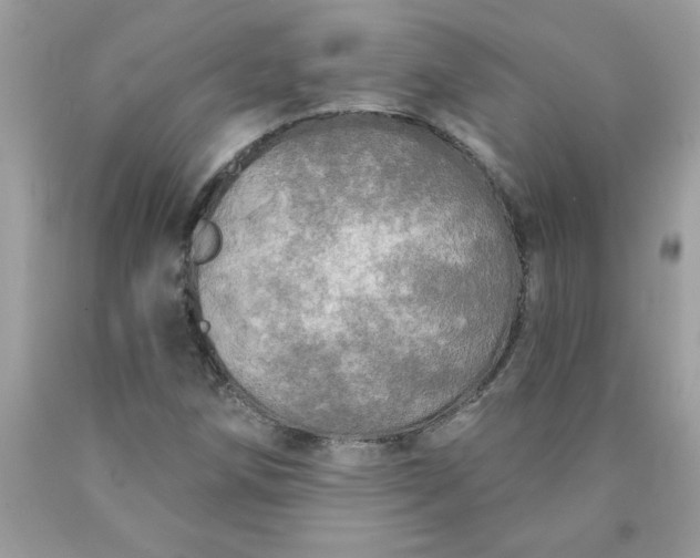 X0000090441258200707272147