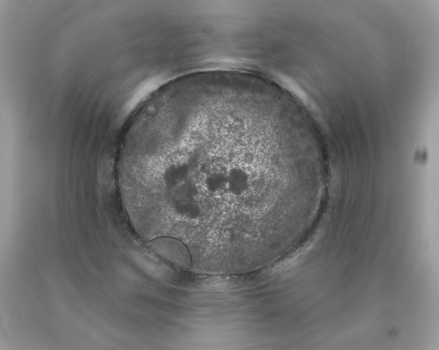 X0000090441259200707272147