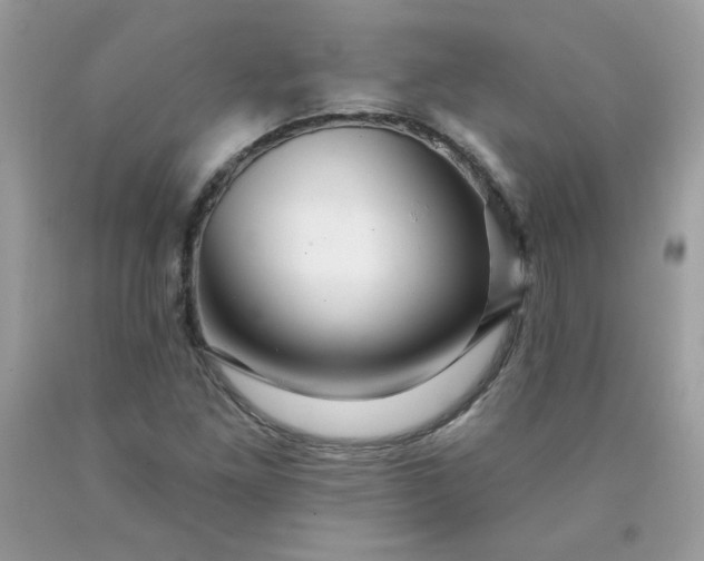 X0000090441261200707272147