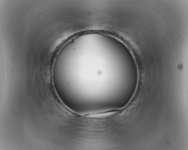 X0000090441262200707272147