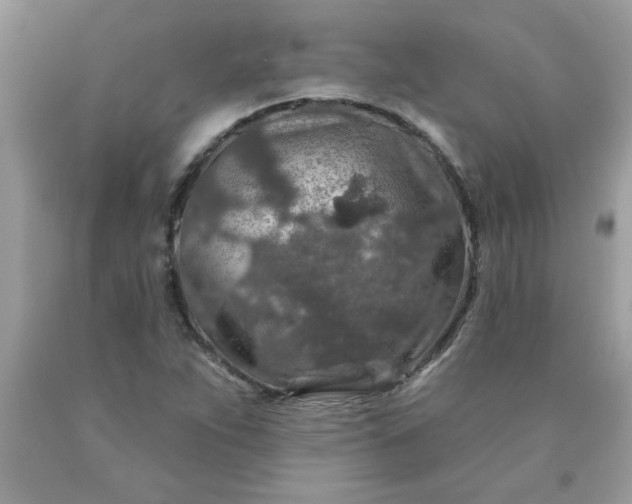 X0000090441263200707272147