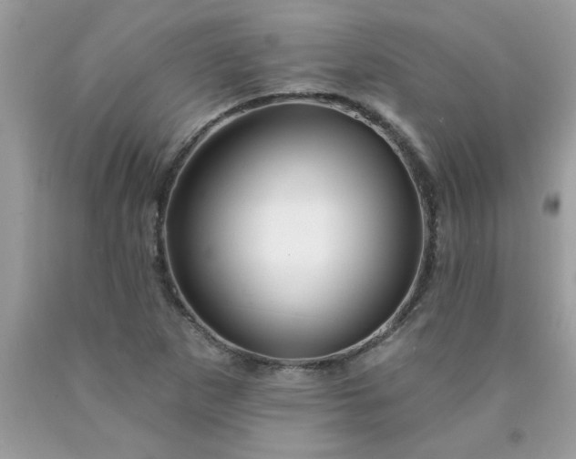 X0000090441265200707272147