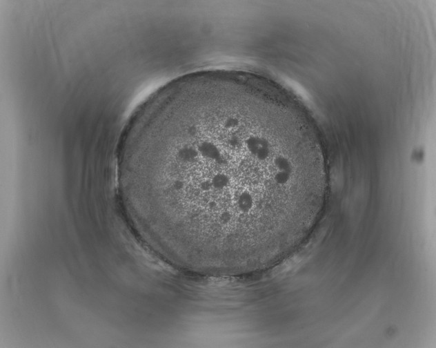 X0000090441267200707272147