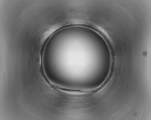 X0000090441269200707272146