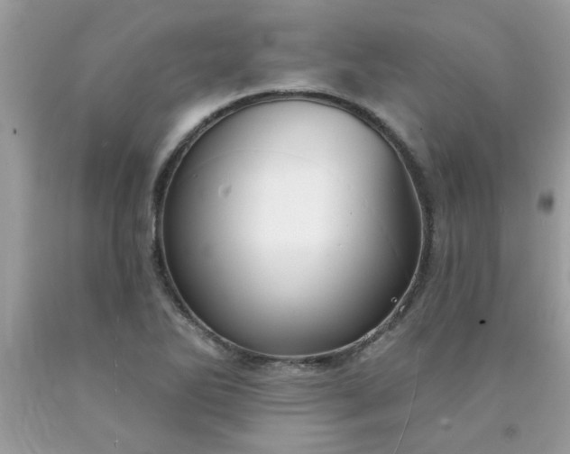 X0000090441270200707272146