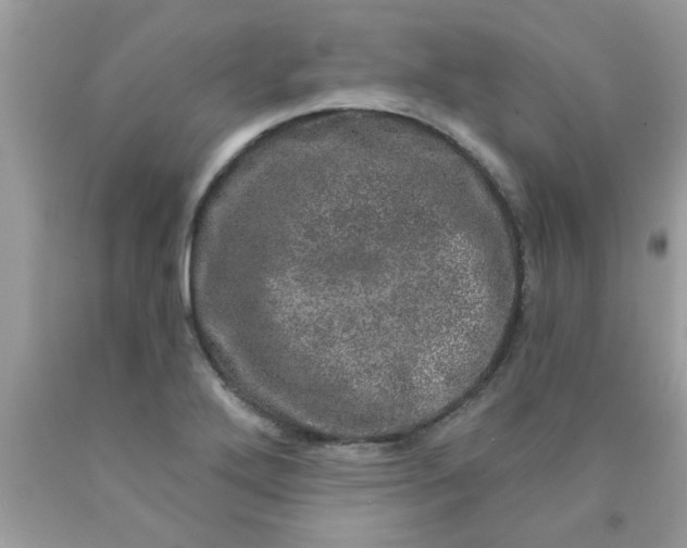 X0000090441272200707272146