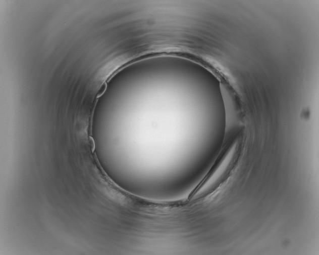 X0000090441273200707272146