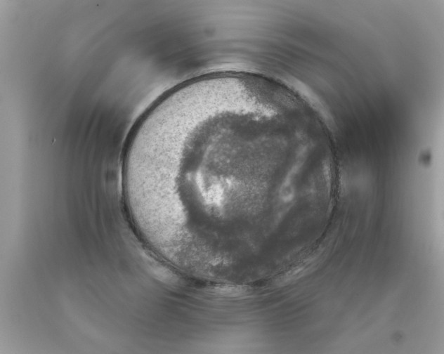 X0000090441274200707272146