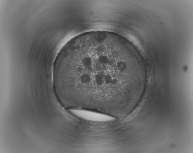 X0000090441275200707272146