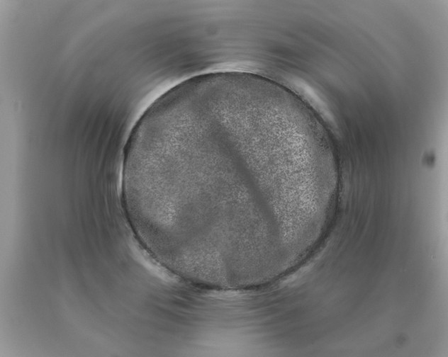 X0000090441276200707272146