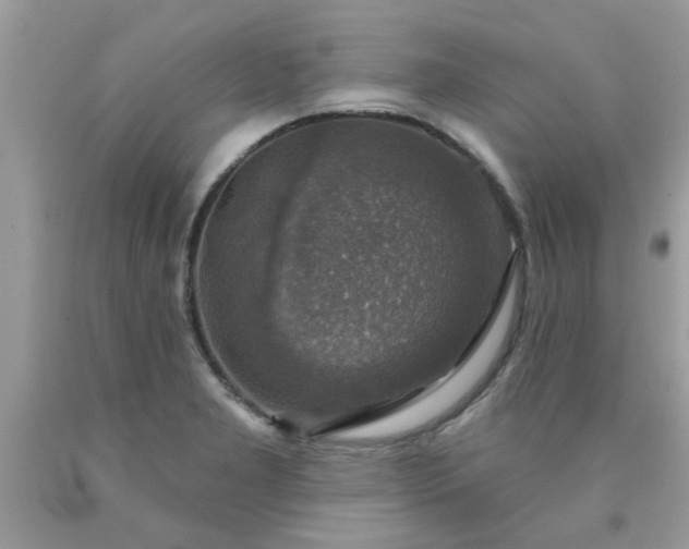 X0000090441277200707272146